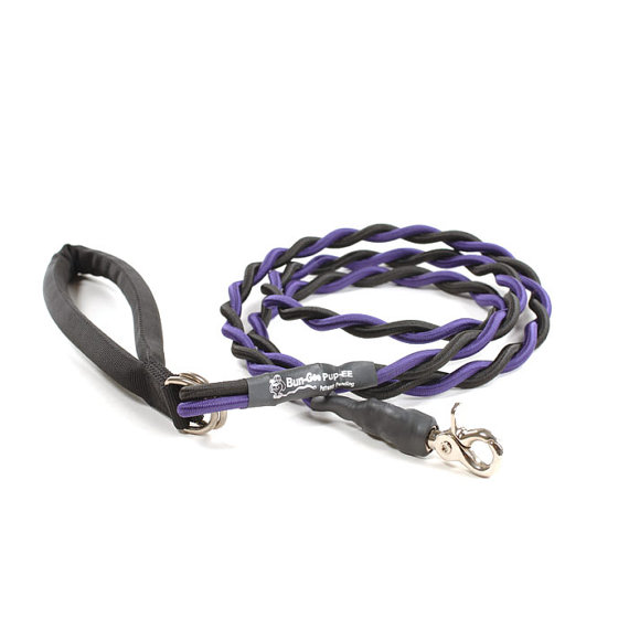 Bungee Leash 45 lb